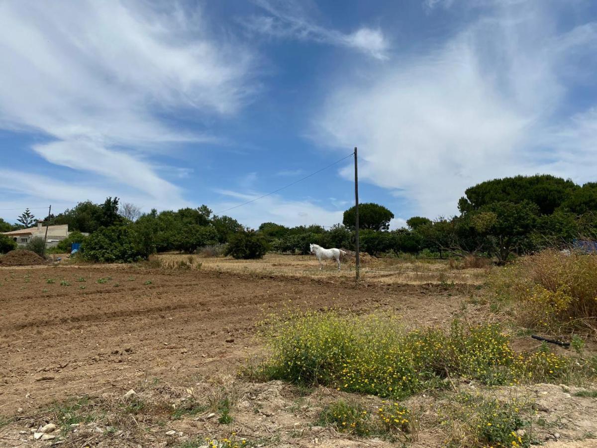 Chiclana Mobile House - Piscina , Wi-fi, Relax Farm stay